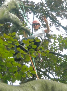 Baumpfleger Martin Speariett bei der Arbeit